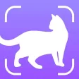 Cat Scanner : Breed Identifier Cat Scanner : Breed Identifier