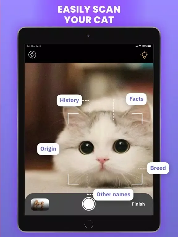 Capturas de tela do Cat Scanner : Breed Identifier iPad 