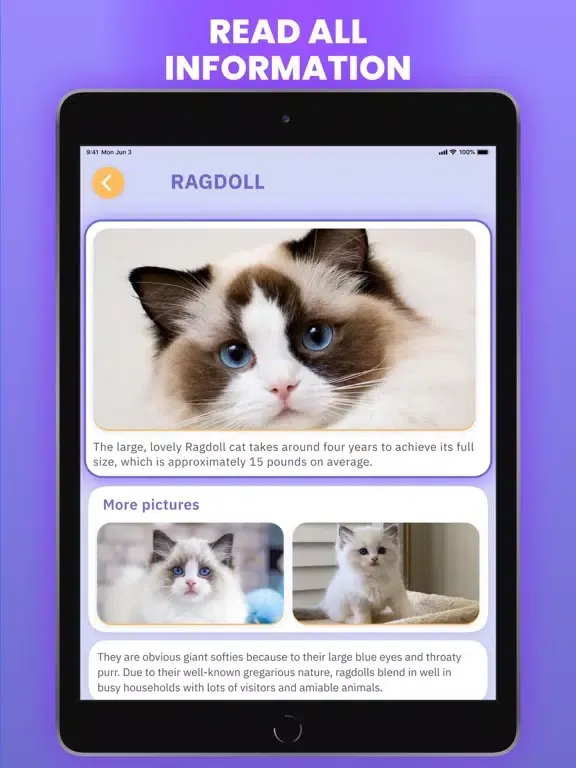 Capturas de tela do Cat Scanner : Breed Identifier iPad 
