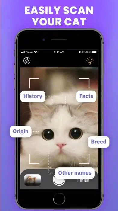 Capturas de tela do Cat Scanner : Breed Identifier