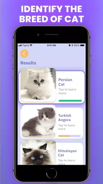 Capturas de tela do Cat Scanner : Breed Identifier