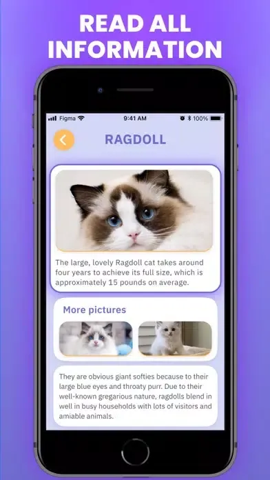 Capturas de tela do Cat Scanner : Breed Identifier