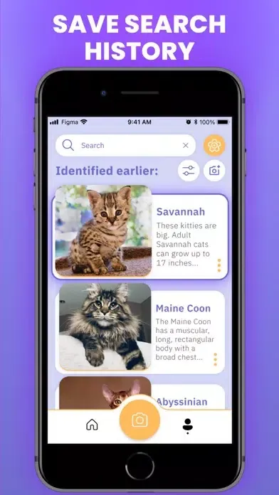 Capturas de tela do Cat Scanner : Breed Identifier