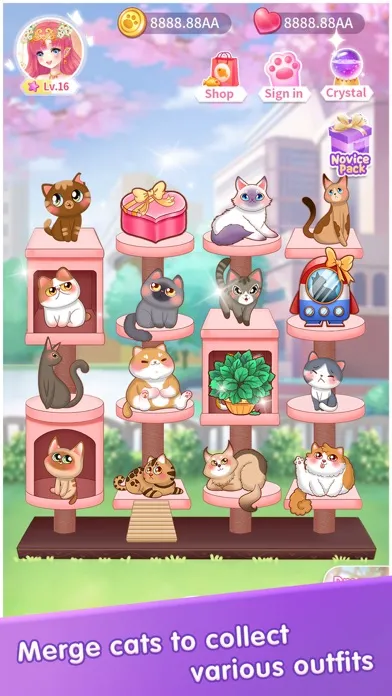 Zrzuty ekranu My Cat Diary