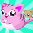 Walky Cat Walky Cat