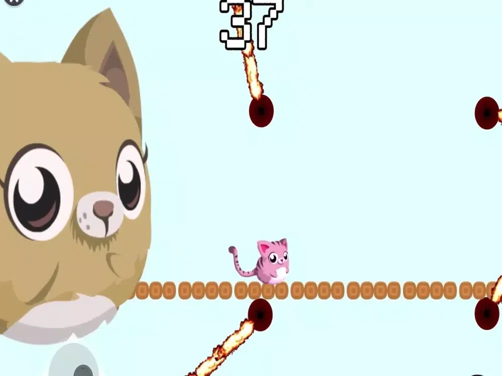 Walky Cat iPad 應用截圖
