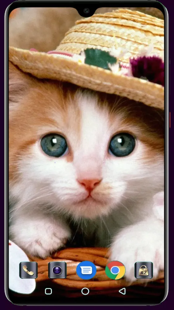 Cute Cat Wallpaper Screenshots