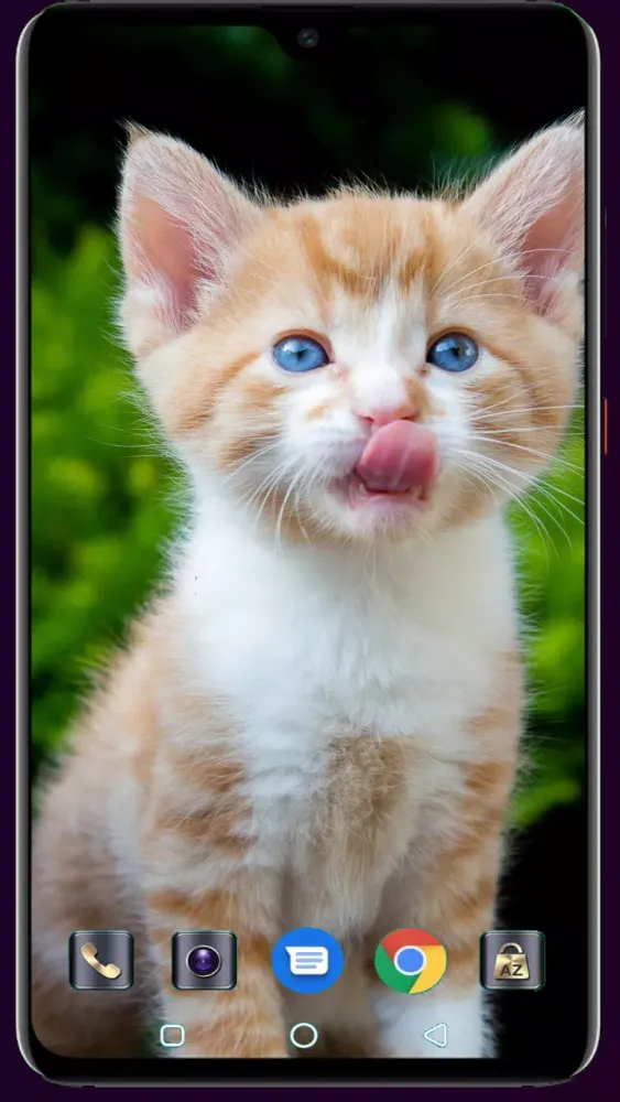 Cute Cat Wallpaper Screenshots