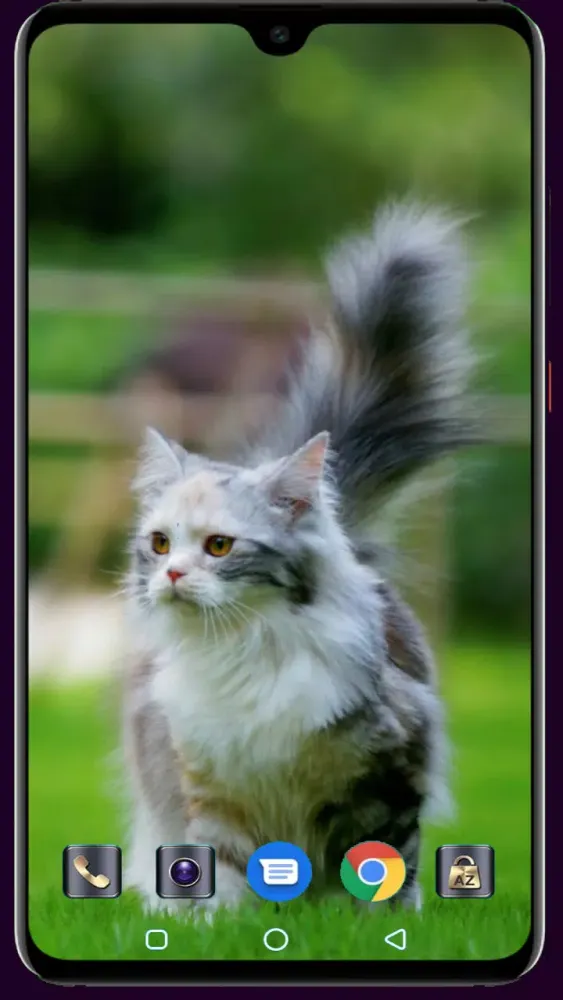 Cute Cat Wallpaper Screenshots