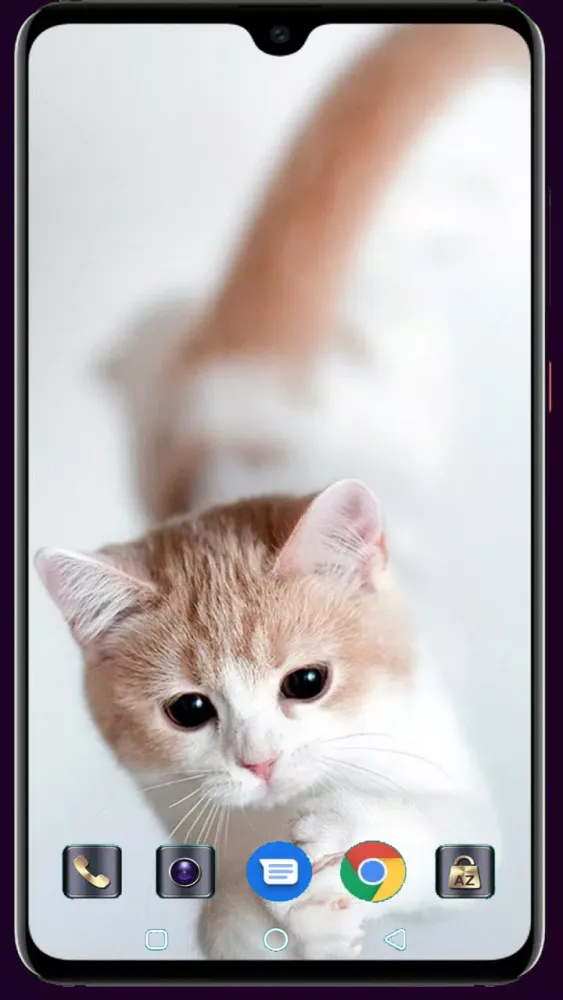 Cute Cat Wallpaper Screenshots