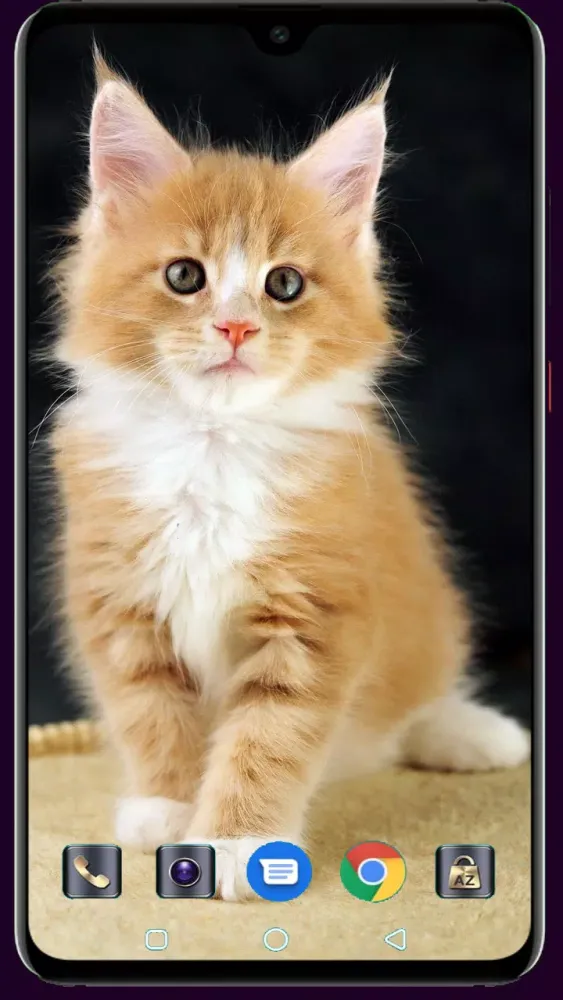 Cute Cat Wallpaper Screenshots