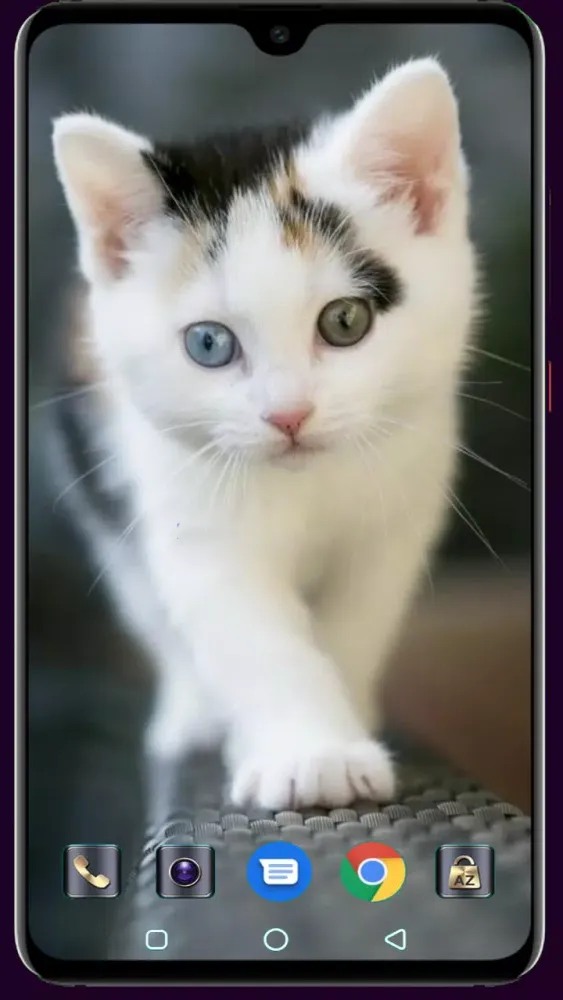 Cute Cat Wallpaper Screenshots