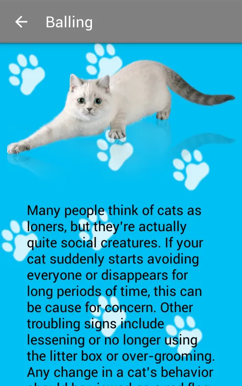 Tangkapan layar Guide to your Cat