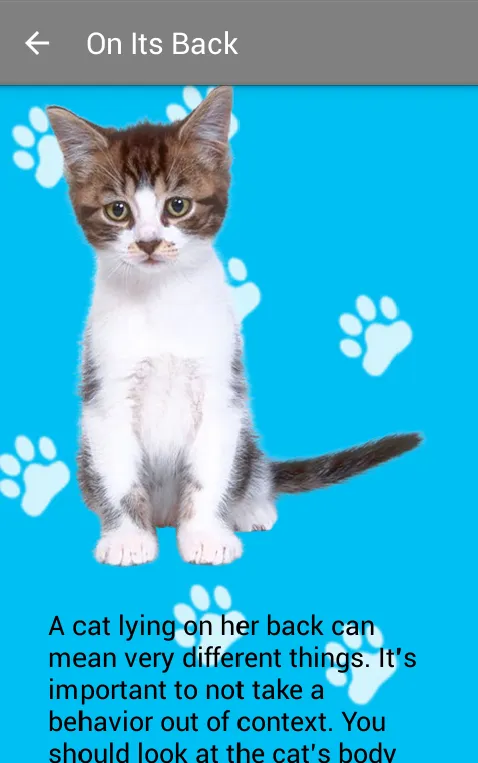 Tangkapan layar Guide to your Cat