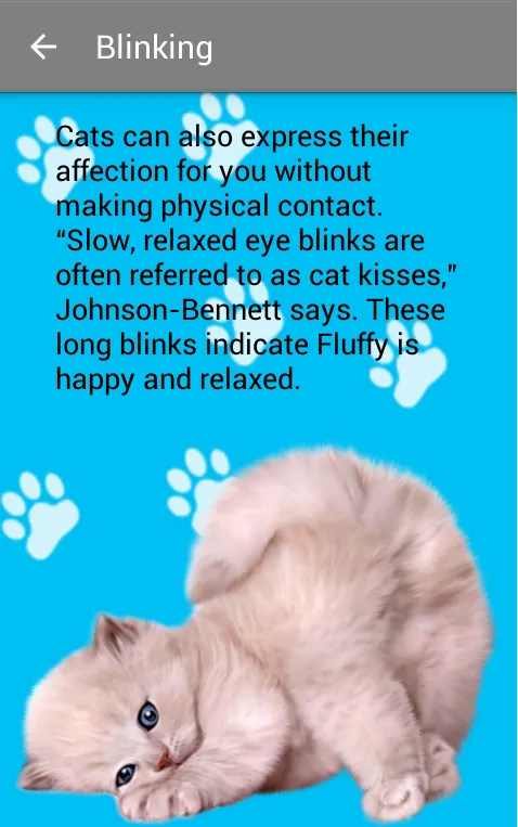 Tangkapan layar Guide to your Cat
