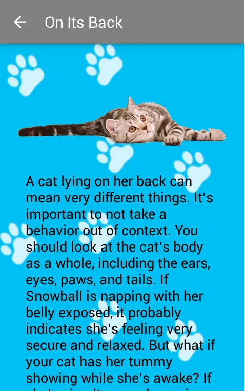Tangkapan layar Guide to your Cat