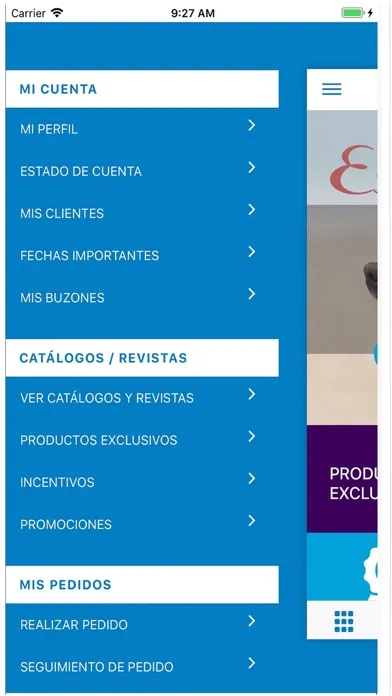 Скриншоты Estilos