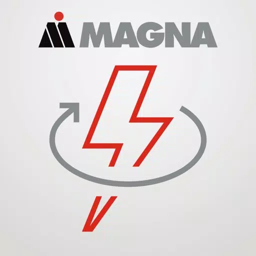 Magna Flash Magna Flash