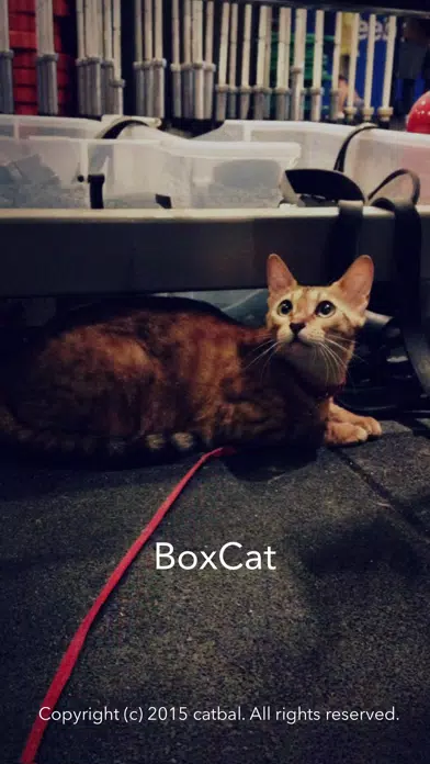Captures d'écran de Box-Cat