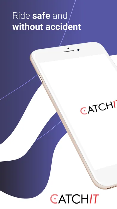 Screenshot di Catchit Road - Speed Control