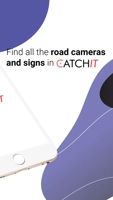 Screenshot di Catchit Road - Speed Control