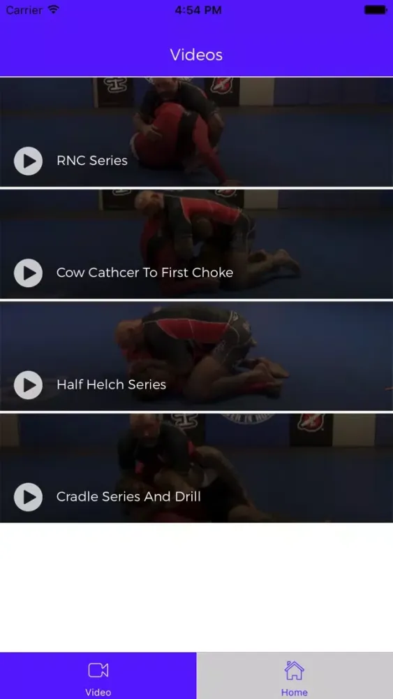 Ảnh chụp màn hình của The Catch Wrestling 2