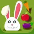 Shapes & Colors Learning Game Shapes & Colors Learning Game