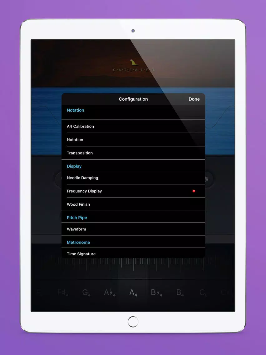 Zrzuty ekranu Tune It iPad 