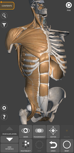 3D Anatomy for the Artist Screenshots