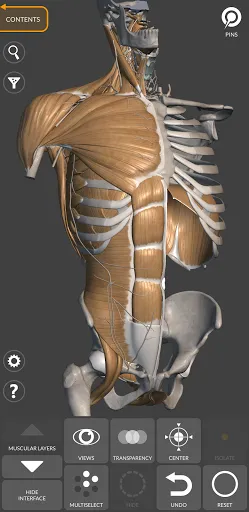 Capturas de pantalla de 3D Anatomy for the Artist