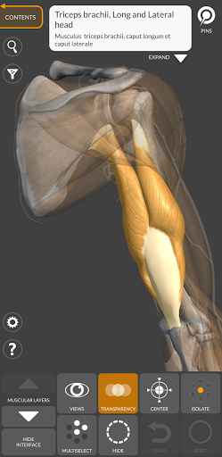 3D Anatomy for the Artist Screenshots