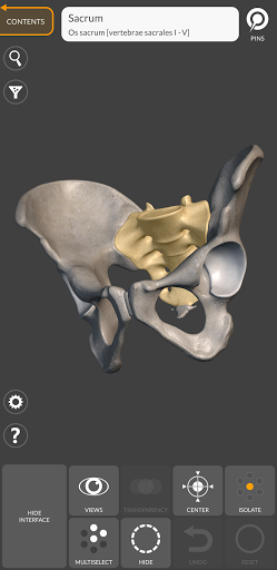 3D Anatomy for the Artist Screenshots