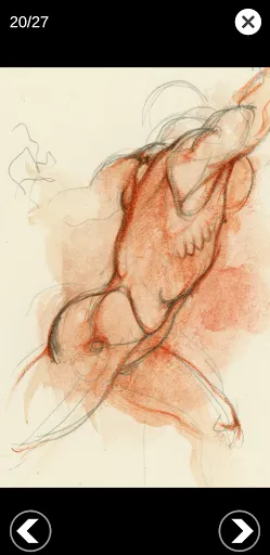 Capturas de pantalla de 3D Anatomy for the Artist