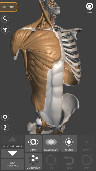 Скриншоты 3D Anatomy for the Artist