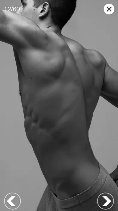 Скриншоты 3D Anatomy for the Artist