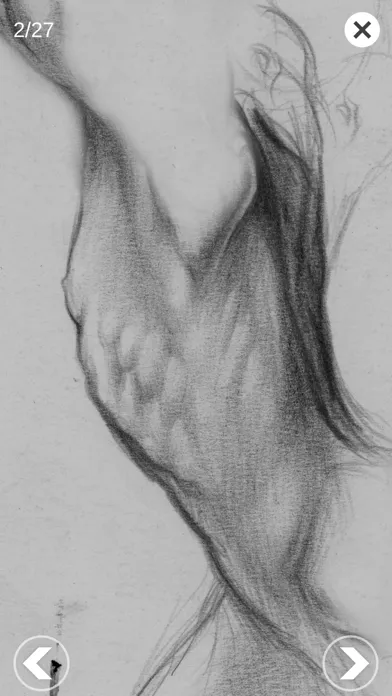 Скриншоты 3D Anatomy for the Artist