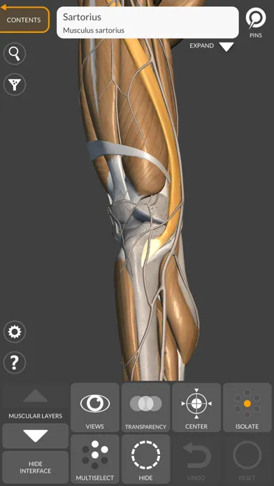 Скриншоты 3D Anatomy for the Artist