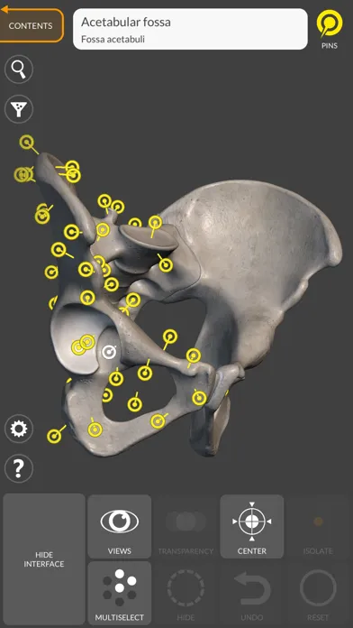Скриншоты 3D Anatomy for the Artist