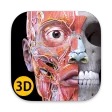 Anatomy 3D Atlas