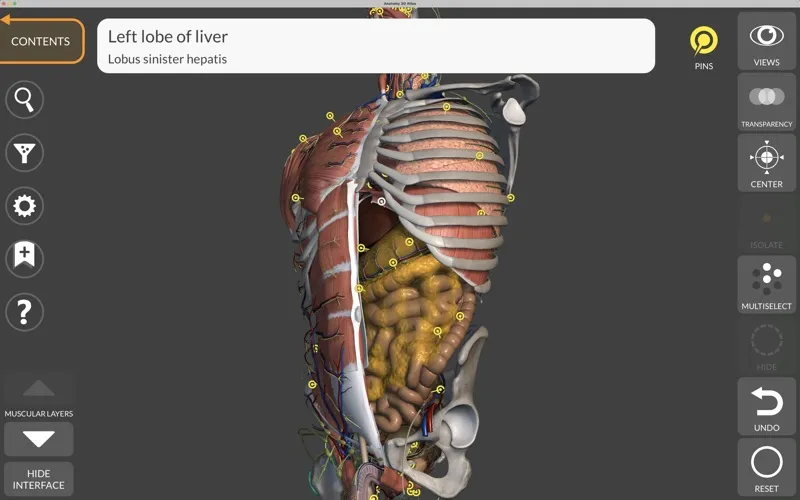 Anatomy 3D Atlas应用截图