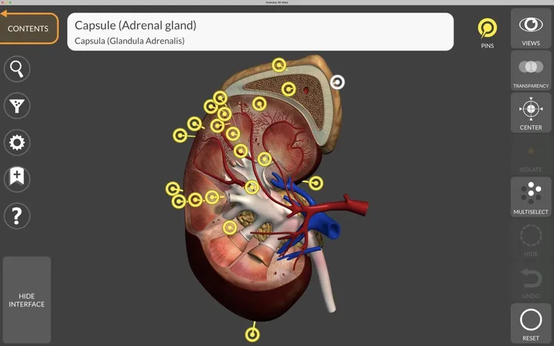 Anatomy 3D Atlas应用截图