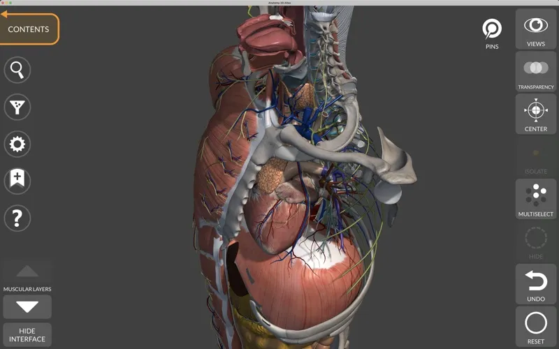 Anatomy 3D Atlas应用截图