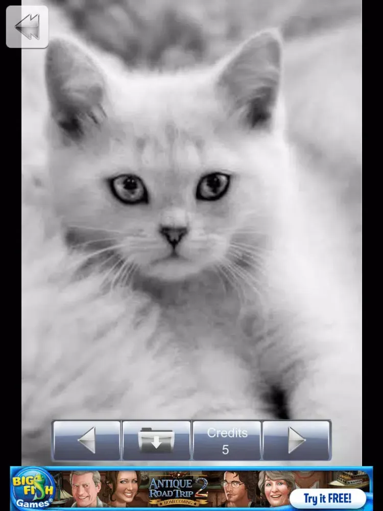 Zrzuty ekranu Cat Pics iPad 