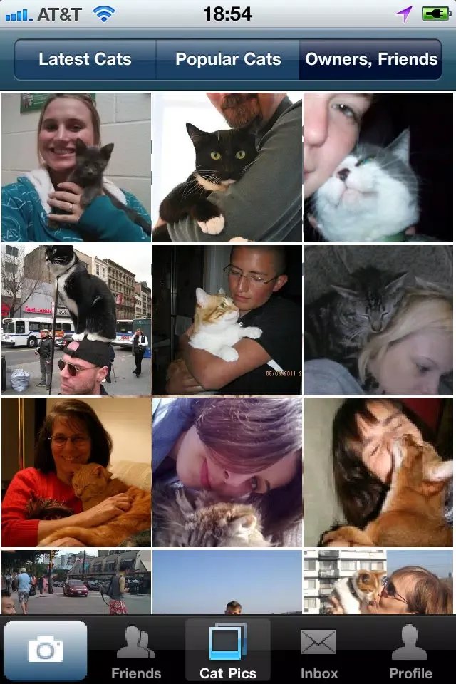 Zrzuty ekranu Cat Pics