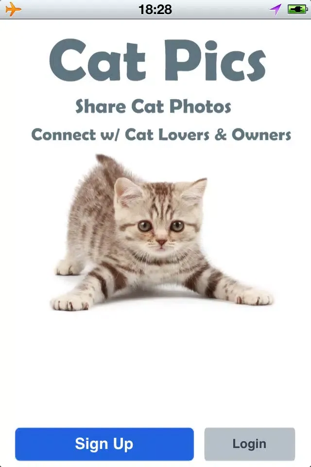 Zrzuty ekranu Cat Pics
