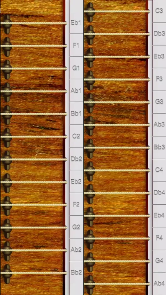 Captures d'écran de 25 String Gayageum