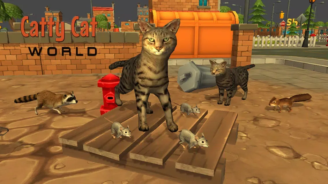 تصاویر A Catty Cat World