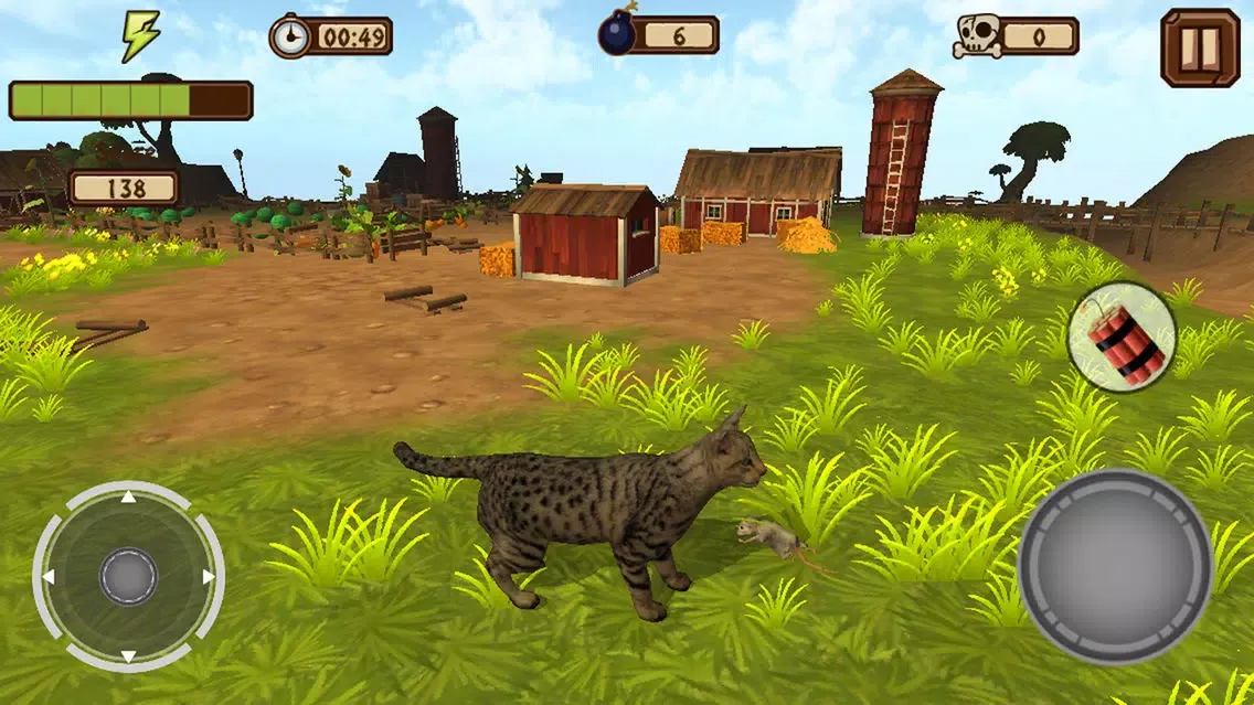 تصاویر A Catty Cat World