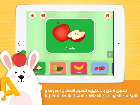 Tangkapan skrin Learn English تعلم الإنجليزية iPad 