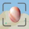 Rock Identifier: Stone Value